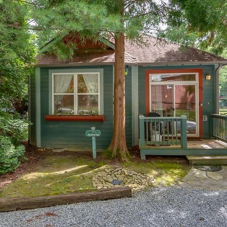 Buttercup Cottage Asheville Exteriér fotografie