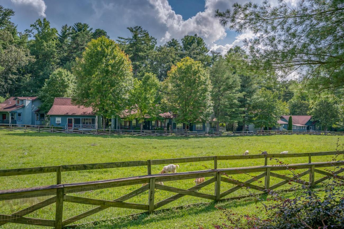 Buttercup Cottage Asheville Exteriér fotografie