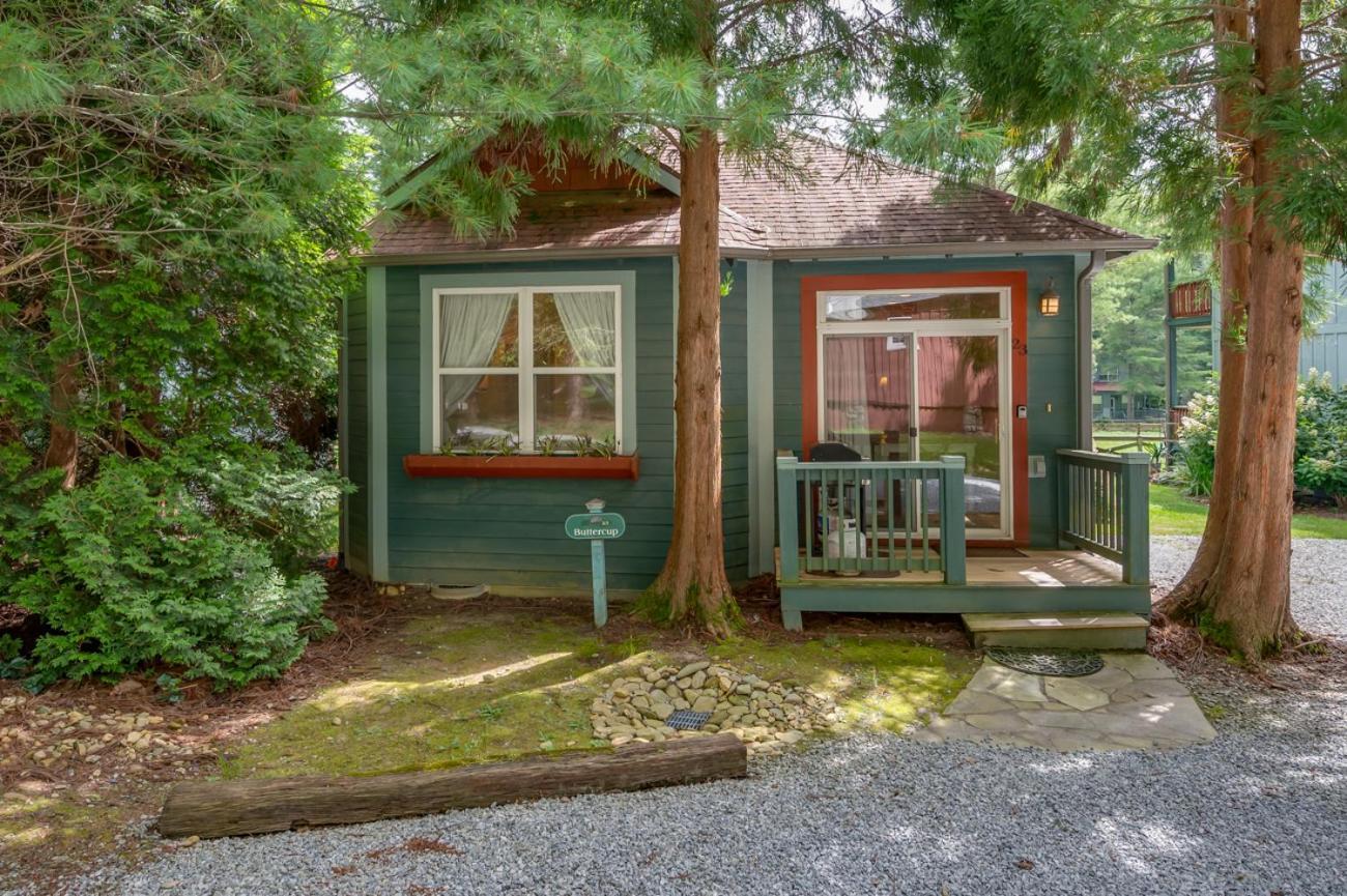 Buttercup Cottage Asheville Exteriér fotografie