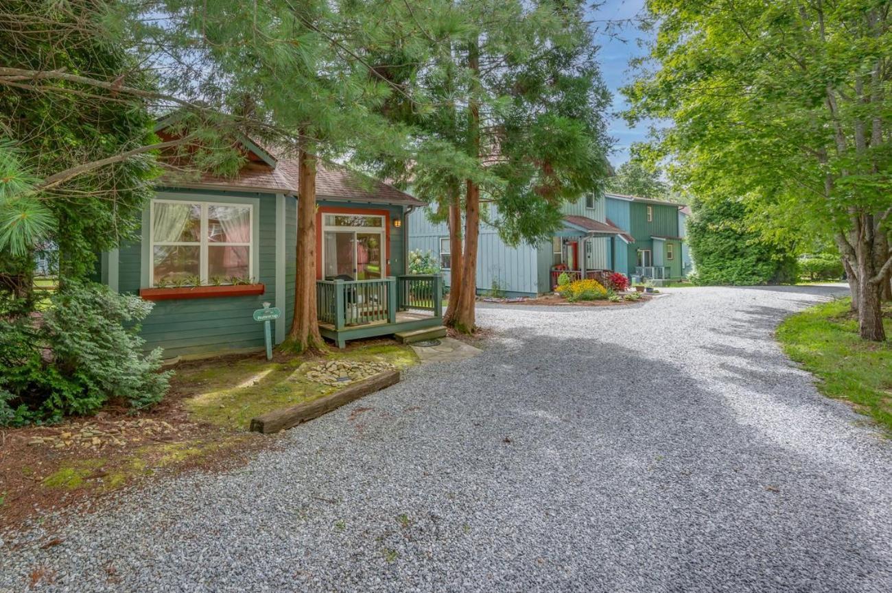 Buttercup Cottage Asheville Exteriér fotografie