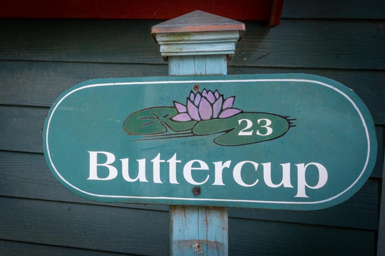 Buttercup Cottage Asheville Exteriér fotografie