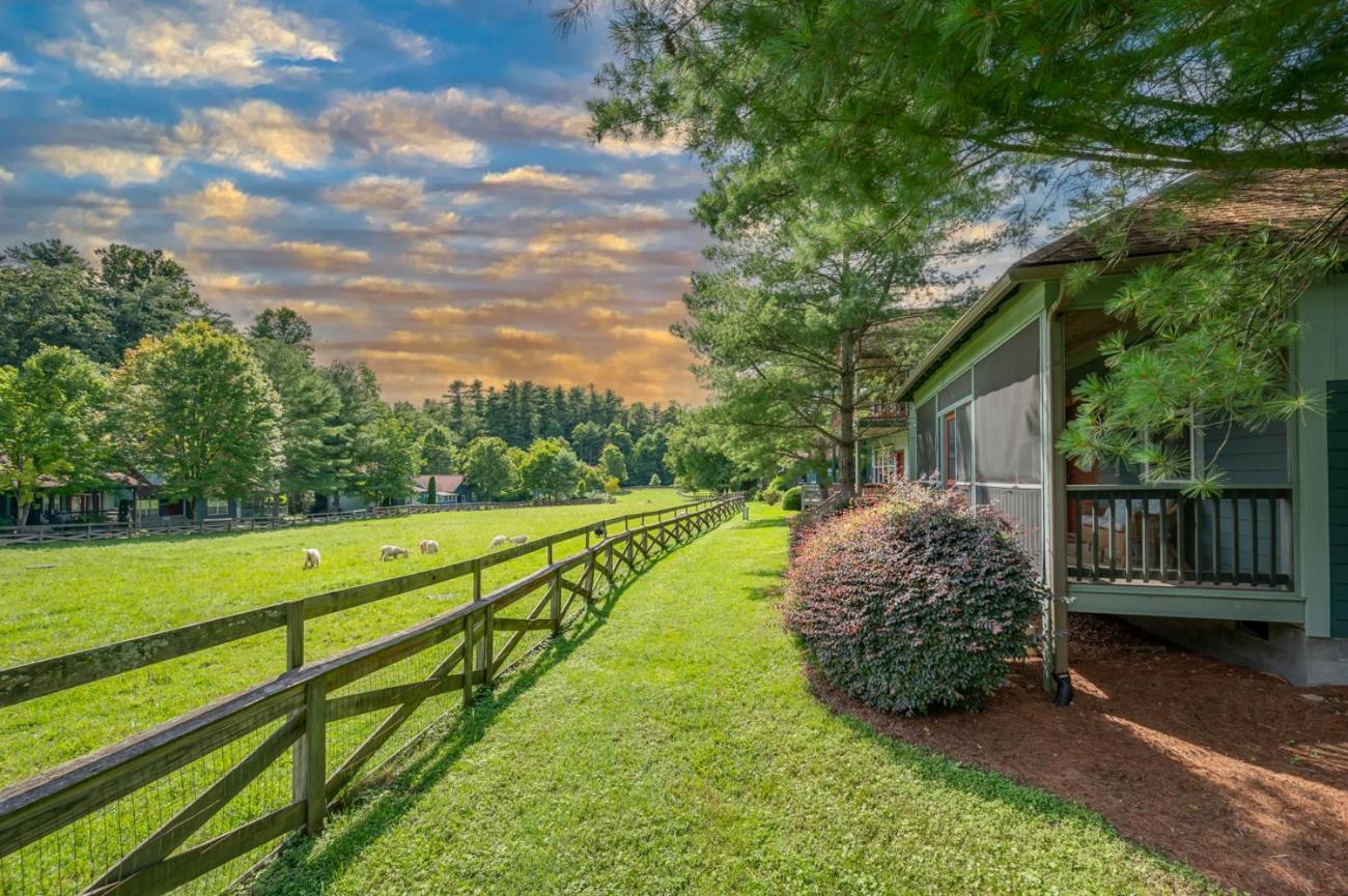Buttercup Cottage Asheville Exteriér fotografie